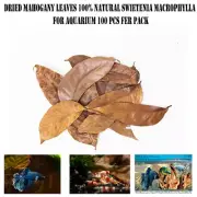 Dried Mahogany Leaves 100% Natural Swietenia macrophylla for Aquarium 100 pcs