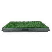 Poowee Grass Patch Tray