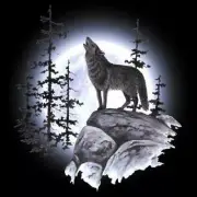 5D Diamond Painting Howl at the Moon Wolf Kit