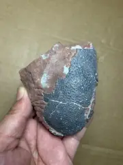 300g Egg Shell stone specimen