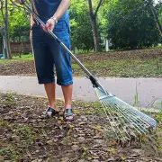 (Assorted Color)Garden Leaf Rake For Lawn And Yard With Alloy Telescopic Handle
