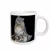 3dRose Snow Leopard, Panthera uncia, Asia - AS26 AMR0000 - Andres Morya Hinojosa