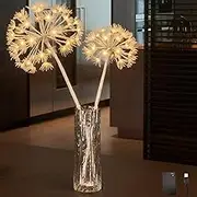 LITBLOOM Lighted Willow Branches with Timer Battery Operated and USB Plug in, Faux Dandelion Branches with Lights 27IN 70 LED Lights for Home Mantle Table Christmas Decoration