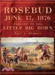 Rosebud, June 17, 1876 ― Prelude to the Little Big Horn
