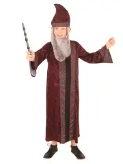 Dumbledore Robe w Hat & Attached Beard Kids Official Harry Potter Boys Book Week