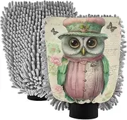 XYMZR Vintage Owl Hat Butterfly Absorbent Microfiber Car Wash Mitt, Funny Cute Anime Scratch Free for Cars Cleaning, Home Cleaning Mitts, 2 Pack, 10.24” L x 7.09” W