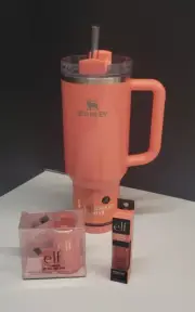 Stanley Elf Edition CORAL FIXATION 40 oz Tumbler Lip Oil & Holder Target Excl.