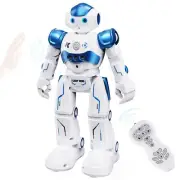 Robot Toys for Kids, Gesture Sensing Programmable Rechargeable Remote Control