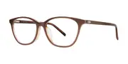 Vera Wang VA65 Blush Pearl Men's Glasses Brown Size 53 - Private Health Rebate - Blue Light Block Available