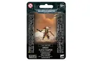 Warhammer 40,000: T'au Empire - Kroot Flesh Shaper
