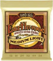 Ernie Ball 2004 Earthwood 80/20 Bronze Light Acoustic Guitar Strings (11-52)