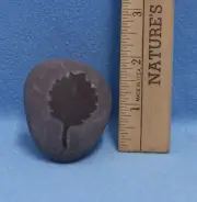 Wine Bottle Stopper Stone Rock w/ Cork Nature Engraved Moose Antler Leaf Lab Dog