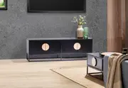 PEGASUS Entertainment Unit