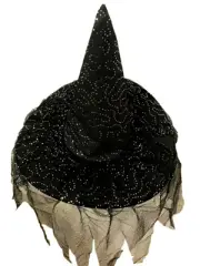 Black Witch Hat with Silver Sequin Netting and Veil Halloween