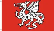 1.5m x 0.9m English Pendragon Anglo Saxon Flag
