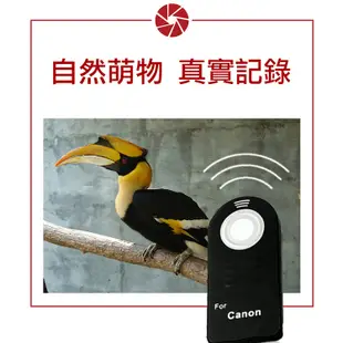 佳能 Canon 副廠 同RC-5 紅外線遙控器 無線快門 (3.2折)