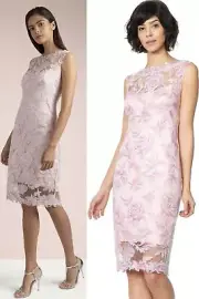 Tadashi Shoji Chloe Embroidered Silver Corded Lace Peony Rose Cocktail Dress 12