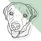 'Labrador ' Clear Decal Stickers (DC040560)