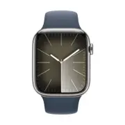 Apple Watch Series 9 GPS +Cellular 45mm Stainless Steel Case Storm Blue S/M Band