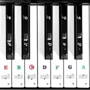 Piano Key Labels for Beginners, Removable Universal 61 Keyboard Piano Note