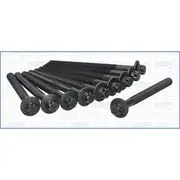 Austral Cylinder Head Bolt Set - 81038800