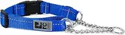 RC Pet Products 1" Primary Collection Martingale Dog Training Clip Collar, Royal Blue, Medium