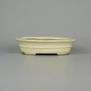 Japanese bonsai pot TOKONAME YAMAFUSA Oval shape W13.5cm H3.3cm White Glazed