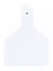 Z-TAG CALF BLANK WHITE 100CT