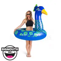 在飛比找博客來優惠-美國 Big Mouth 造型游泳圈 孔雀款