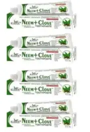 KUDOS NEEM CLOVE Toothpaste (100*4--400 g, Pack of 4)