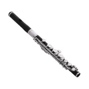 NEW JUPITER JPC-1010 STUDENT PICCOLO WITH CASE AND WARRANTY