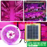 【SK優選】植物燈 LED植物生長燈 全光譜補光燈 太陽能植物燈  LED燈 太陽能板 台灣出貨