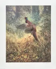 William Hollywood New Print Lithograph 1979 Pheasant Pencil Signed