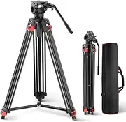 [NEEWER] Basic 74" Video Tripod with Fluid Head, Metal Camera Tripod with Smooth Friction Damping, Mid Level Spreader, Quick Release Plate Compatible with Manfrotto 501, Max Load 17.6lb, TP37