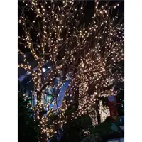 在飛比找ETMall東森購物網優惠-LED彩燈閃燈串燈 圣誕節慶滿天星工程亮化戶外防水美規英規裝