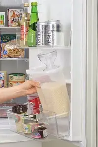 在飛比找Yahoo!奇摩拍賣優惠-日本 Inomata 冷藏 米罐壺 2kg 米箱