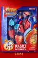 4D MASTER HUMAN模型/人體心臟