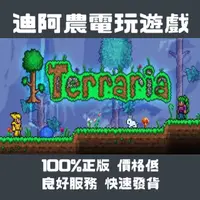 在飛比找蝦皮購物優惠-[迪阿農電玩] Steam 泰拉瑞亞 Terraria PC