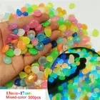 300 Pcs Pebbles Stone Glow in the Dark Rock Fish Tank Stones Garden Road Decor