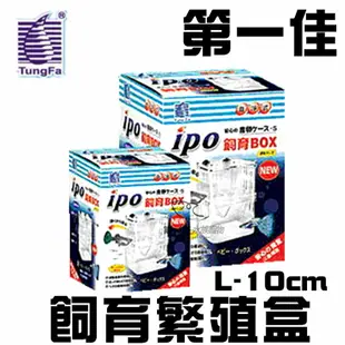 [第一佳 水族寵物] 台灣T&F-同發〔E-IPO-D10〕飼育繁殖盒 L-10cm 迷你繁殖箱 隔離箱 隔離盒 產子盒