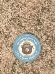 SMOKEY THE BEAR Fridge Round Circle Magnet - Only You Can Prevent Wildfires