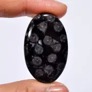 Natural Black Fossil Coral Oval Shape Cabochon Gemstone 42.5 Ct 40X25X5mm A-1032