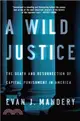 A Wild Justice ─ The Death and Resurrection of Capital Punishment in America