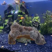 Reptiles Basking Climbing Platform Turtle Floating Platform Turtle Cave