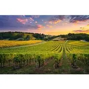 Save 10.00%! Discover Kakheti: Winery Khareba, Signagi, Gremi, Bodbe Monastery