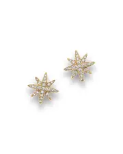 Diamond Starburst Stud Earrings in 14K Yellow Gold, .25 ct. t. w.