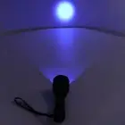 New UV Torch Black Light Flashlight 365nm For Pet
