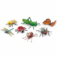 在飛比找momo購物網優惠-【Learning Resources】超大昆蟲模型 科學遊