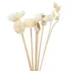 8X Artificial Flower Fragrance Diffuser Rattan Reed Sticks Bathroom Decor Refill