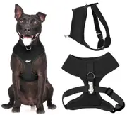 LIQUORICE BLACK - Medium Vest Harness
